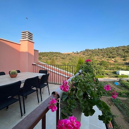 Apartamentos La Flor Сан-Мартин-де-Монкайо Экстерьер фото