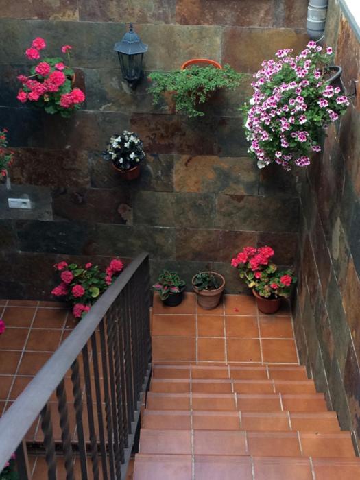 Apartamentos La Flor Сан-Мартин-де-Монкайо Экстерьер фото