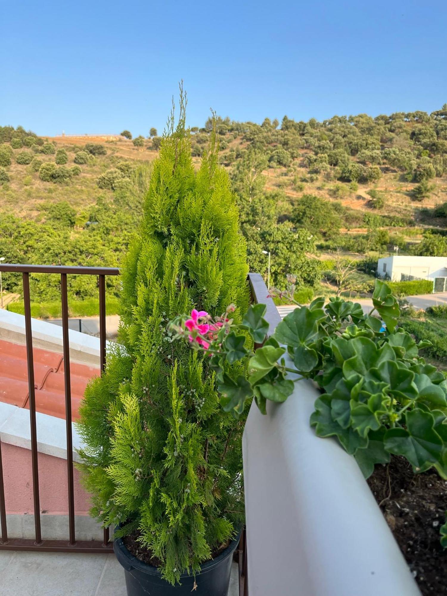 Apartamentos La Flor Сан-Мартин-де-Монкайо Экстерьер фото